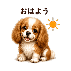 狗狗皮皮的每日問候