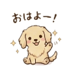 Lovely Cream Dachshund