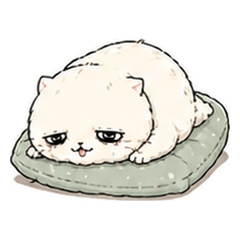 Offbeat Cute Cats | Polite & Chill