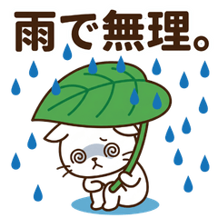 Rainy Season Survival: Gloomy White Cat