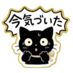 Luna the Black Cat for Lazy Replies