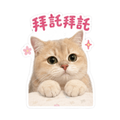徐點點 實用篇1