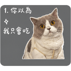 麻糬の日常貼圖2