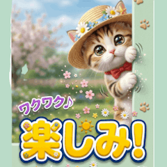 New! Pop-up Moe Moe Kitty Life Vol.1
