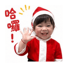 迷你豬1231