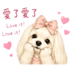 瑪爾濟斯Cupid的日常用語