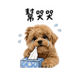 可愛的哈嚕