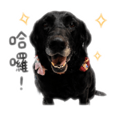 花家一族