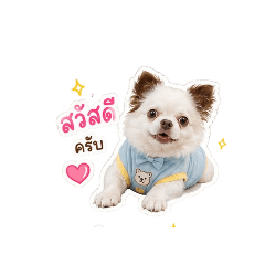 Meetang_20260428124953