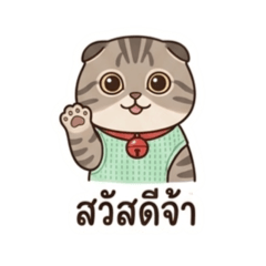Todty_20260428210314
