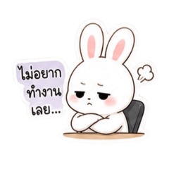 White rabbits rb