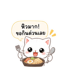 Cat ct