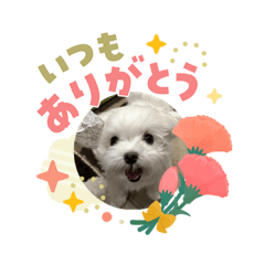 hisae_20260503191330