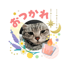 nao_20260503192123