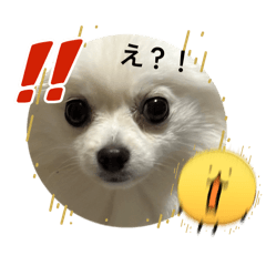 yr_20260503192635