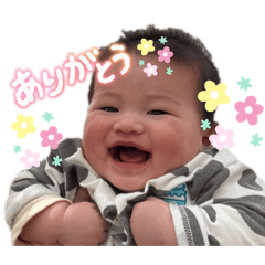 akirei_20260503191533