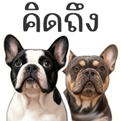 Two Pets as Friends-Part 1