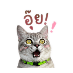 Kunnamfon_20260503183740