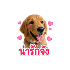 Mu_wannnn