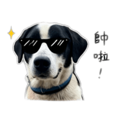 秘魯(´▽｀)