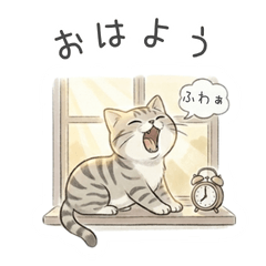 Gentle American Shorthair Cat Stickers