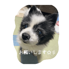 miwacoro_20260503193010
