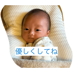 tom_20260503193515