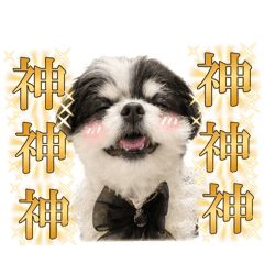 muchimuchi_CH_20260503193205