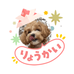 YURIKO_20260503193226