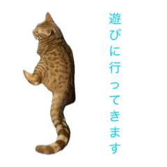 Yuma_20260503193216