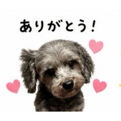 momoRiRi_20260503193431