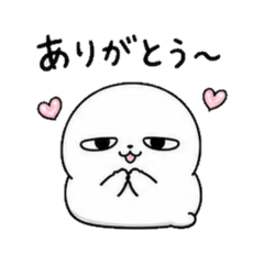 shirochoko_20260503194411
