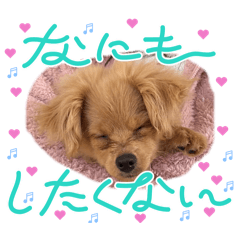 Mamenohaha_20260503194736