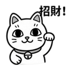 廢棒兔
