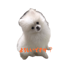 oshibu_20260503195125