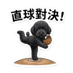 黑貴賓WARU的棒球日常