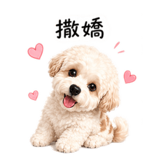 撒嬌奇奇寶的一天