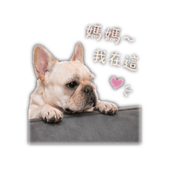 媽寶米腸 第一彈