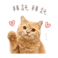 77的一天