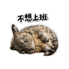 兔鼠也不想上班
