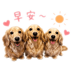 奶茶咖啡土豆麩生活日常1