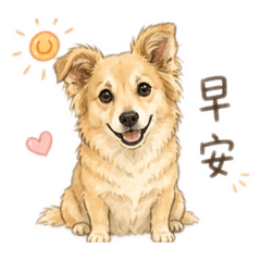 Kiiro 的日常用語手繪版