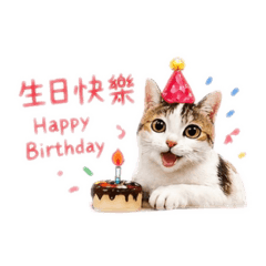 傲嬌三花貓掌上明珠