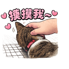 人稱林家小牙給