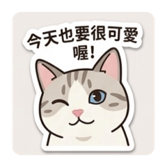可愛貓咪日常 陪伴你的藍眼虎斑布偶米克斯