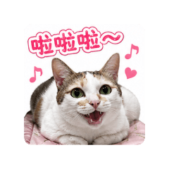 居家福寶