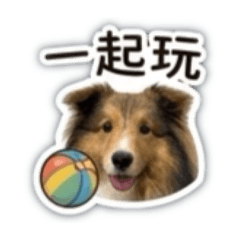 爾比的小日常
