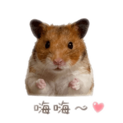 堅果檸檬