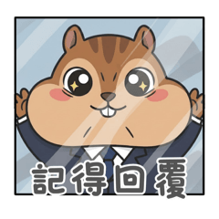 職場互動篇｜西裝松鼠和可愛同事們