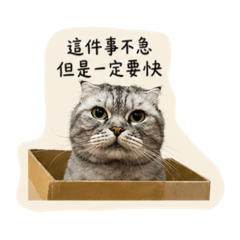 胖皇的牛馬生活（廢話篇）